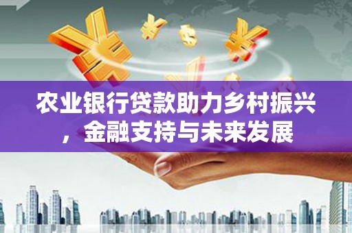 威宁农业银行贷款助力乡村振兴，金融支持与未来发展