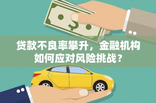 威宁贷款不良率攀升，金融机构如何应对风险挑战？