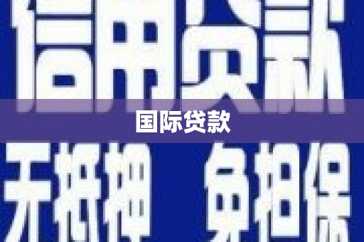 威宁国际贷款