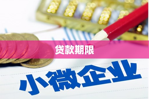 威宁贷款期限