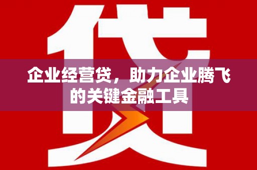 威宁企业经营贷，助力企业腾飞的关键金融工具