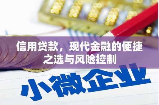 威宁信用贷款，现代金融的便捷之选与风险控制