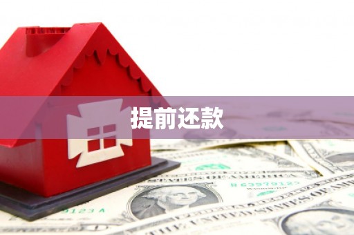威宁提前还款