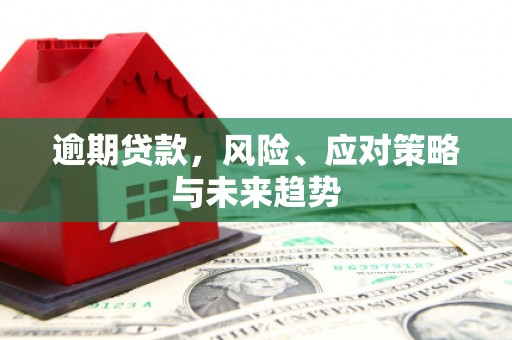 威宁逾期贷款，风险、应对策略与未来趋势