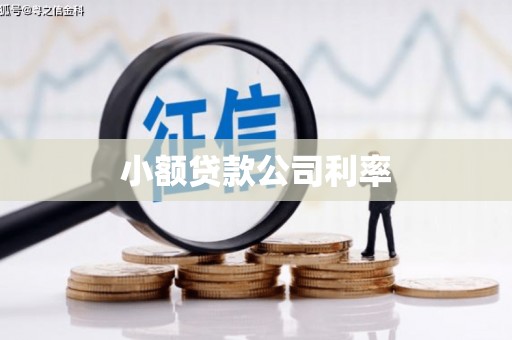 威宁小额贷款公司利率
