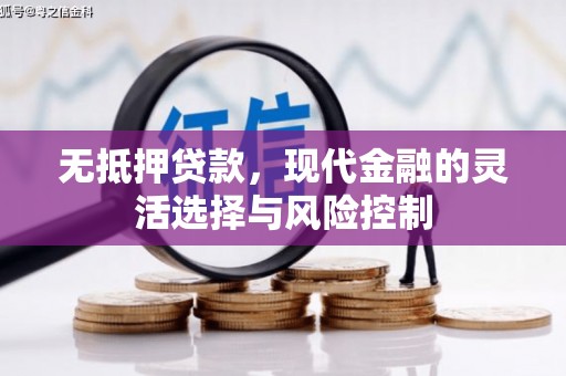 威宁无抵押贷款，现代金融的灵活选择与风险控制