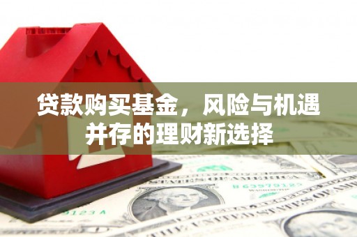 威宁贷款购买基金，风险与机遇并存的理财新选择
