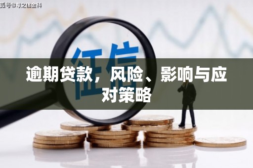 威宁逾期贷款，风险、影响与应对策略