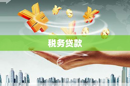 威宁税务贷款
