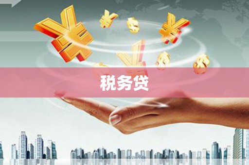 威宁税务贷
