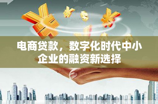 威宁电商贷款，数字化时代中小企业的融资新选择