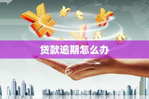 威宁贷款逾期怎么办