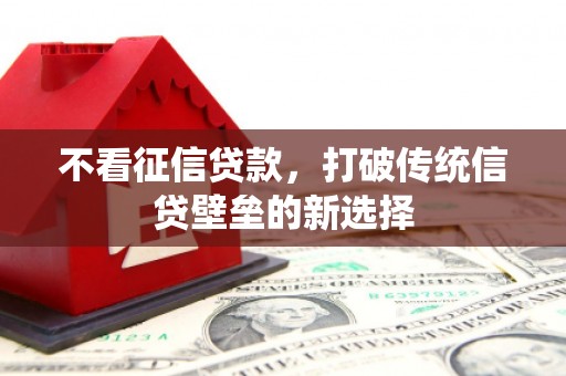 威宁不看征信贷款，打破传统信贷壁垒的新选择