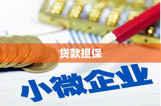 威宁贷款担保
