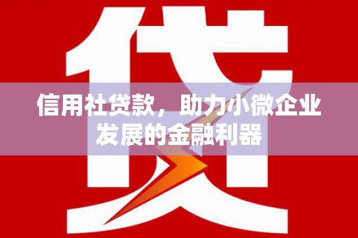 威宁信用社贷款，助力小微企业发展的金融利器