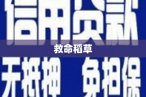 威宁救命稻草
