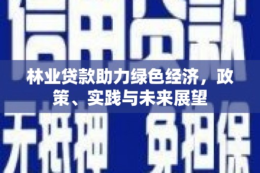 威宁林业贷款助力绿色经济，政策、实践与未来展望