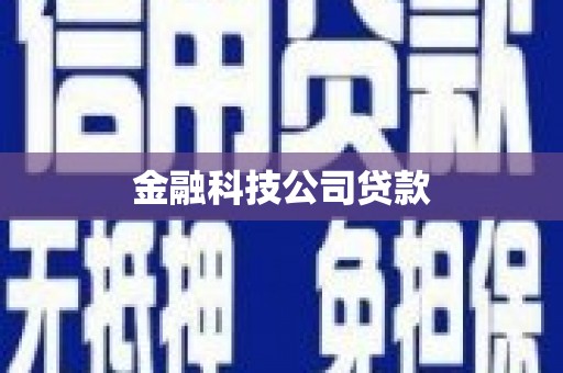 威宁金融科技公司贷款