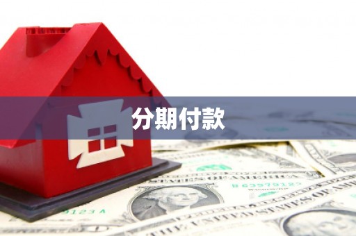 威宁分期付款