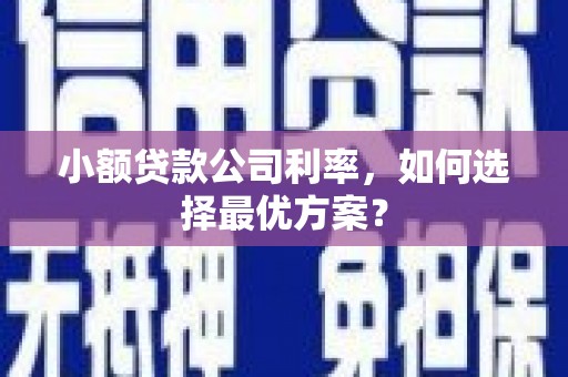 威宁小额贷款公司利率，如何选择最优方案？