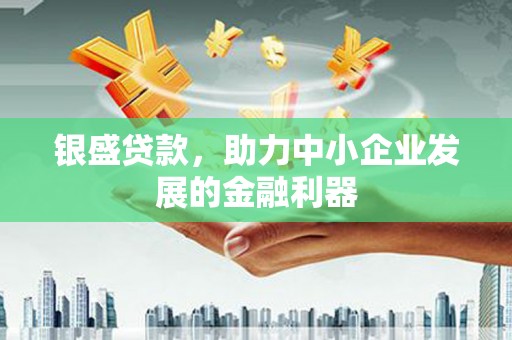 威宁银盛贷款，助力中小企业发展的金融利器