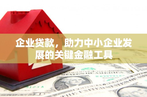 威宁企业贷款，助力中小企业发展的关键金融工具