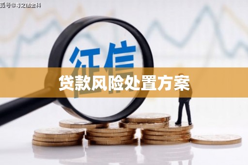 威宁贷款风险处置方案