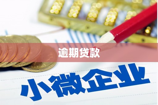 威宁逾期贷款