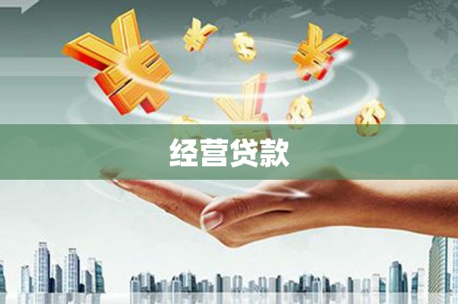 威宁经营贷款