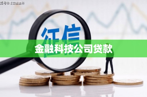 威宁金融科技公司贷款