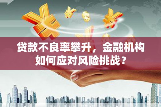 威宁贷款不良率攀升，金融机构如何应对风险挑战？