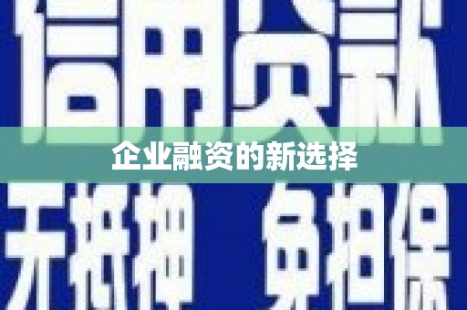 威宁企业融资的新选择