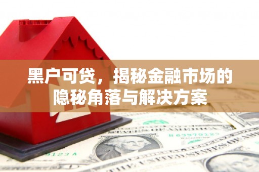 威宁黑户可贷，揭秘金融市场的隐秘角落与解决方案