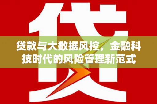 威宁贷款与大数据风控，金融科技时代的风险管理新范式
