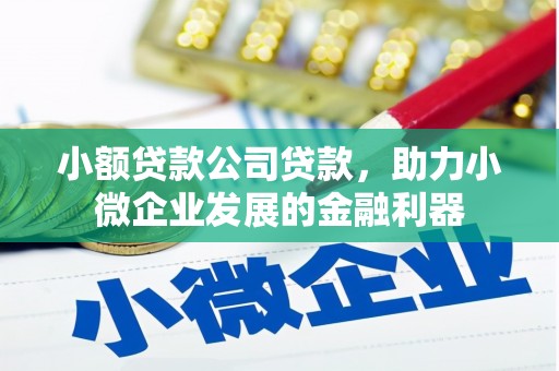 威宁小额贷款公司贷款，助力小微企业发展的金融利器