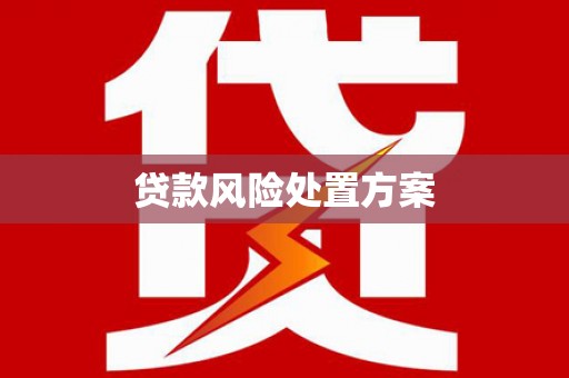 威宁贷款风险处置方案