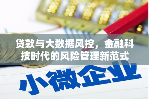 威宁贷款与大数据风控，金融科技时代的风险管理新范式