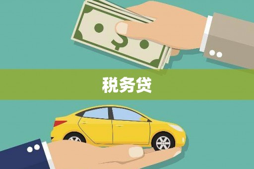 威宁税务贷
