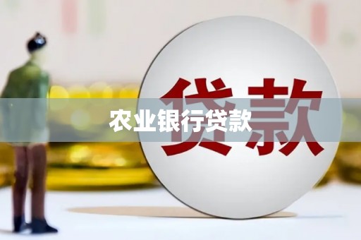 威宁农业银行贷款