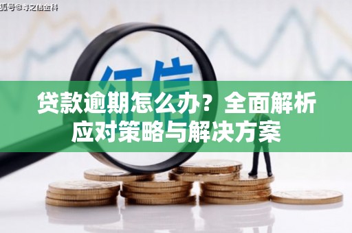 威宁贷款逾期怎么办？全面解析应对策略与解决方案