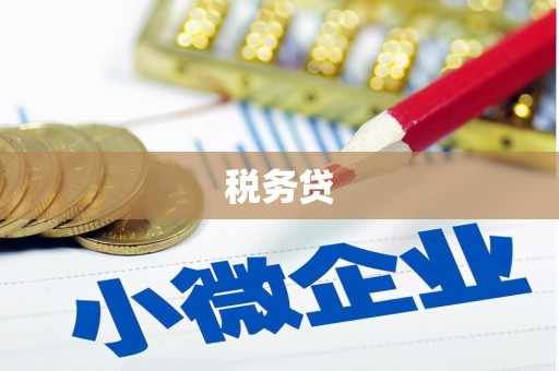 威宁税务贷