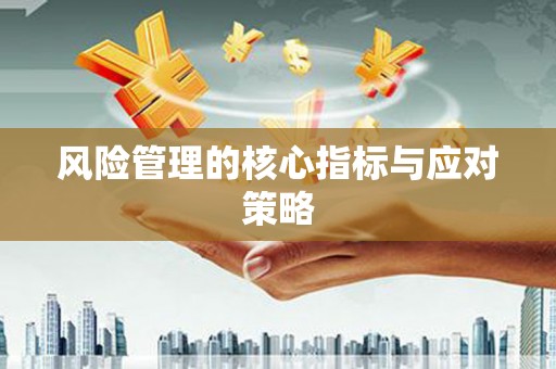 威宁风险管理的核心指标与应对策略