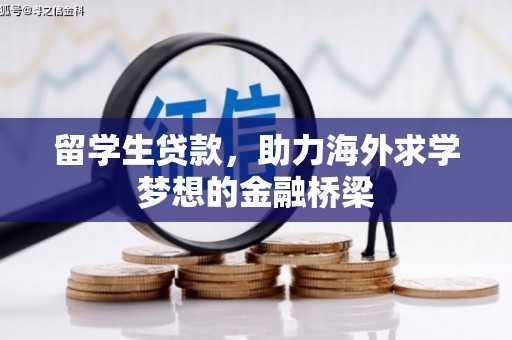 威宁留学生贷款，助力海外求学梦想的金融桥梁