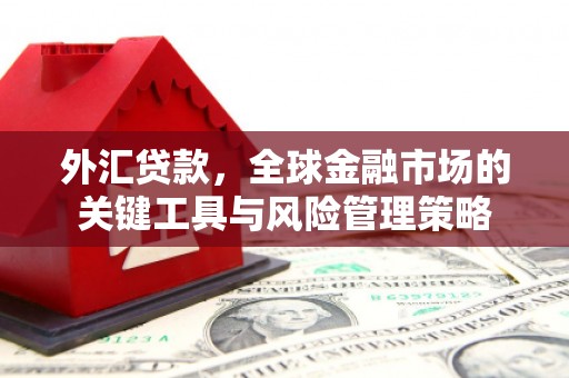 威宁外汇贷款，全球金融市场的关键工具与风险管理策略