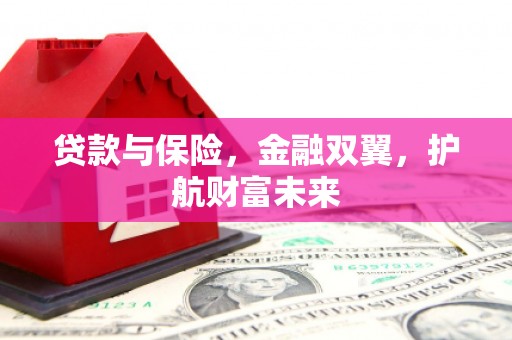 威宁贷款与保险，金融双翼，护航财富未来