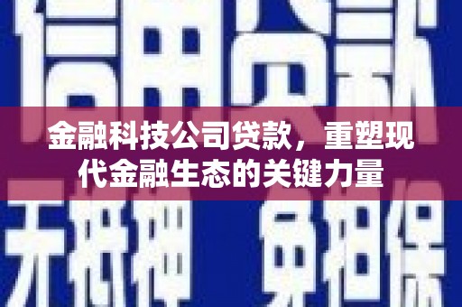 威宁金融科技公司贷款，重塑现代金融生态的关键力量