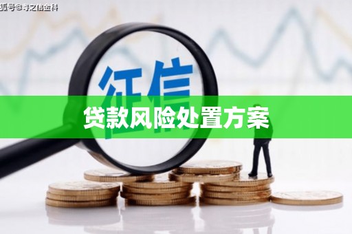 威宁贷款风险处置方案