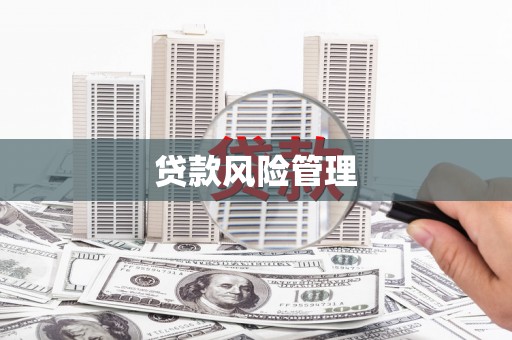 威宁贷款风险管理