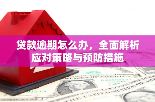 威宁贷款逾期怎么办，全面解析应对策略与预防措施