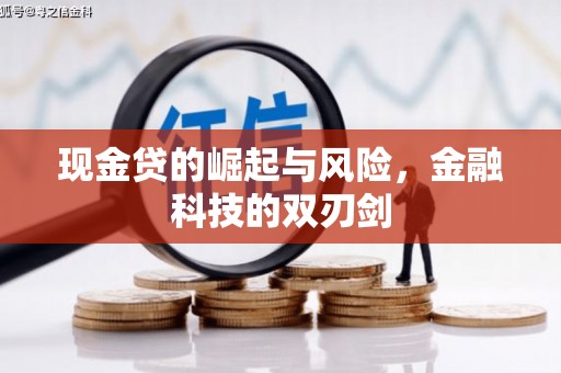 威宁现金贷的崛起与风险，金融科技的双刃剑